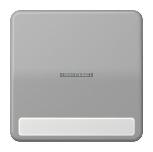 Клавиша JUNG CD 500, серый