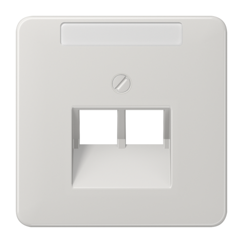 JUNG CD 500/CD plus Светло-серая Накладка 2-ой наклонной ТЛФ/комп розетки с полем для надписи