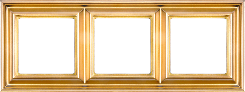 Eco Profi DECO - Рамка для вертикальной и горизонтальной установки 3-местная, цвет золото