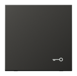 Клавиша JUNG LS METAL, антрацит