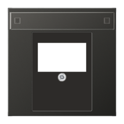 JUNG Крышка для ТАЕ гнезда; антрацит