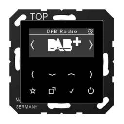 Цифровое радио Jung А-СЕРИЯ, с дисплеем, электронный, черный, DABASW